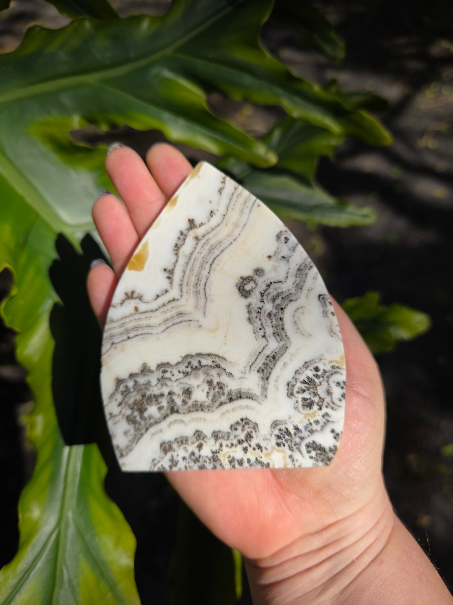 Dendritic Opal Teardrop • Option A • China