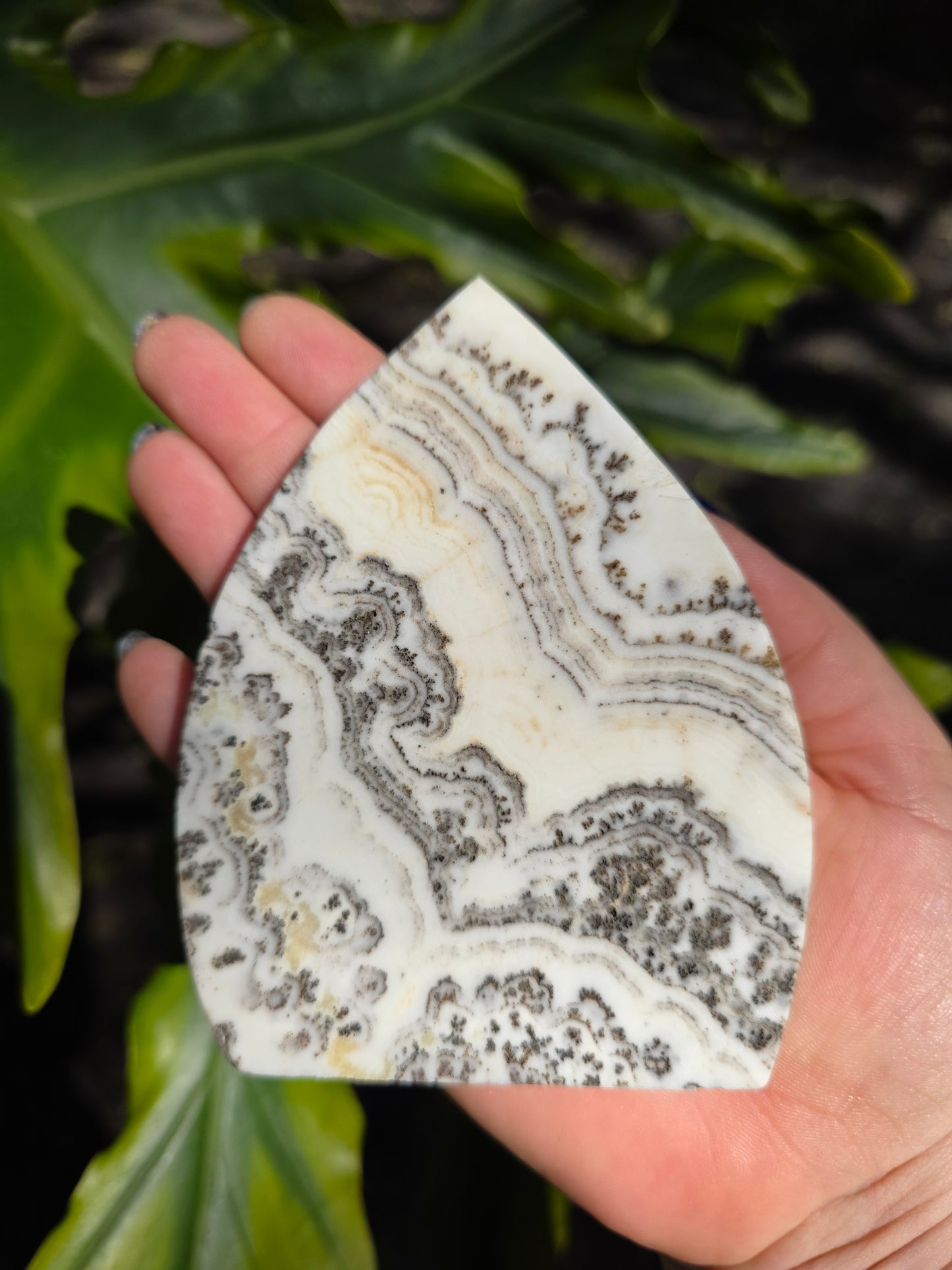 Dendritic Opal Teardrop • Option A • China