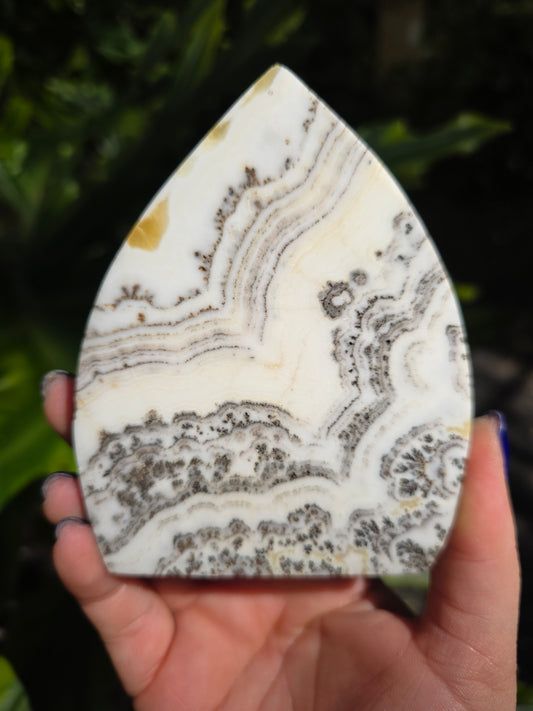 Dendritic Opal Teardrop • Option A • China