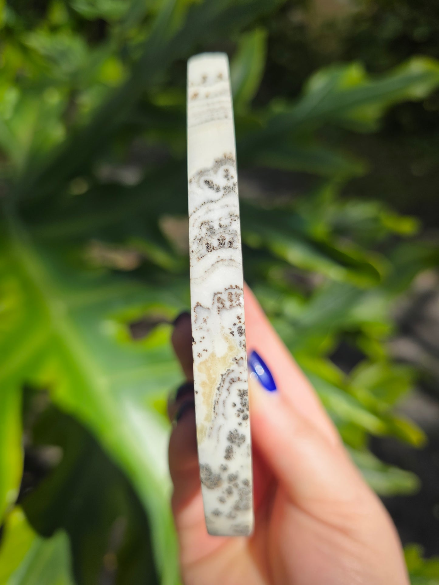 Dendritic Opal Teardrop • Option A • China