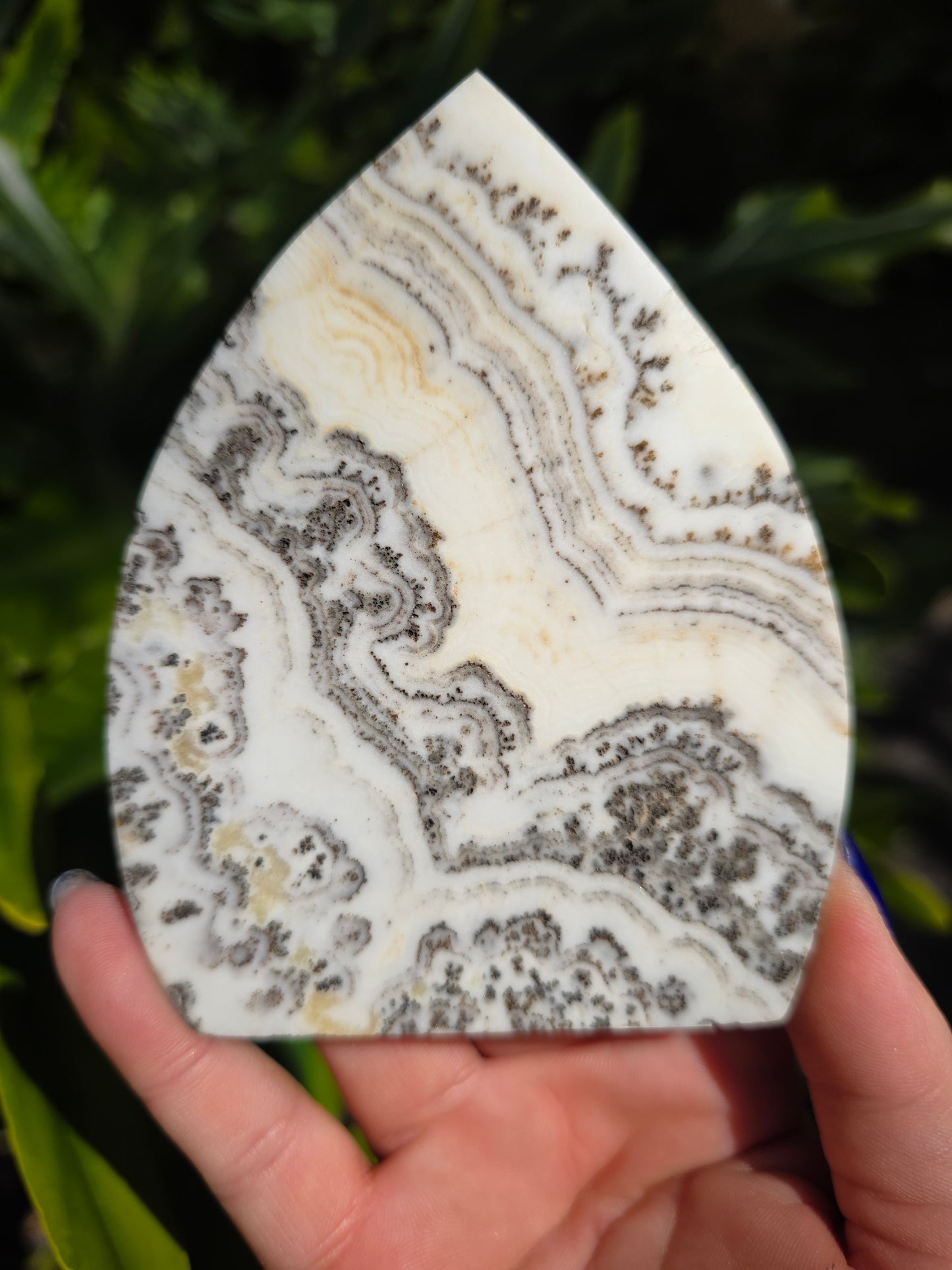 Dendritic Opal Teardrop • Option A • China