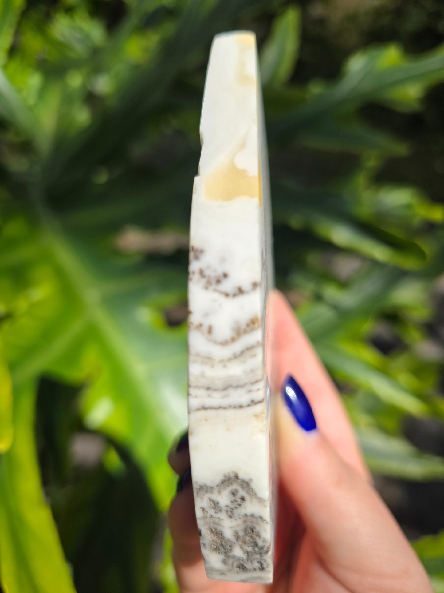 Dendritic Opal Teardrop • Option A • China