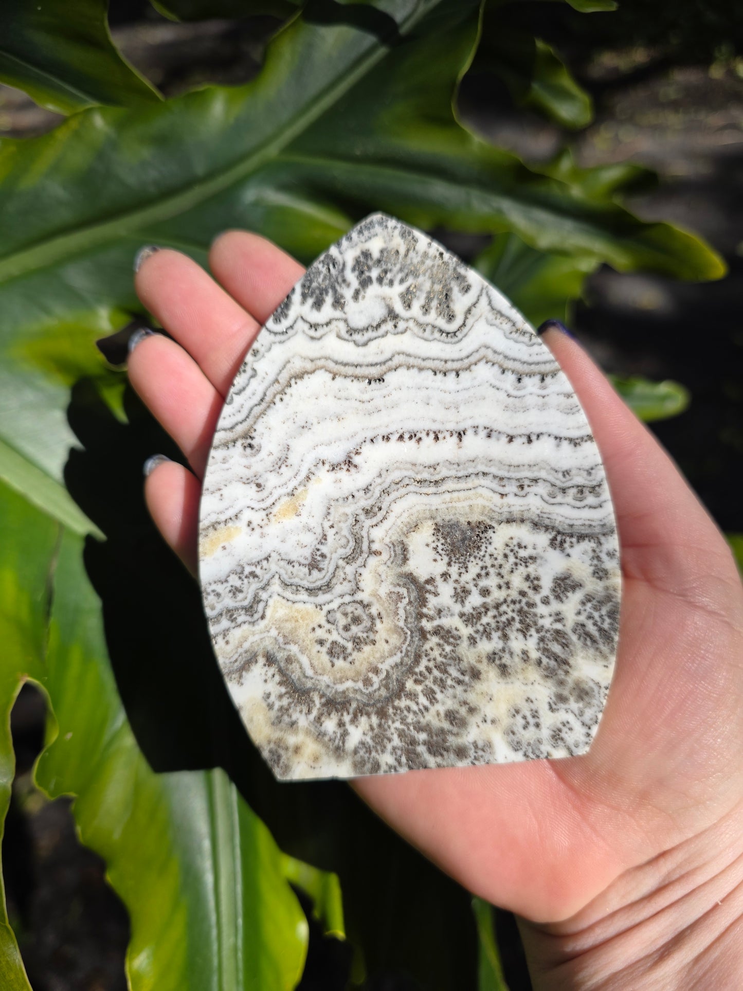 Dendritic Opal Teardrop • Option B • China