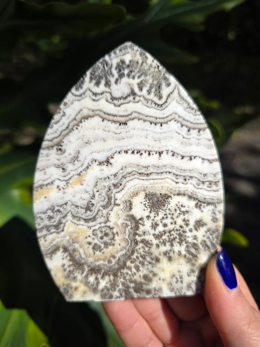 Dendritic Opal Teardrop • Option B • China