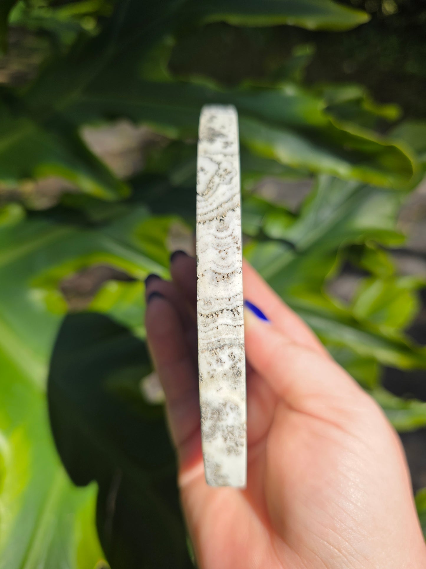 Dendritic Opal Teardrop • Option B • China