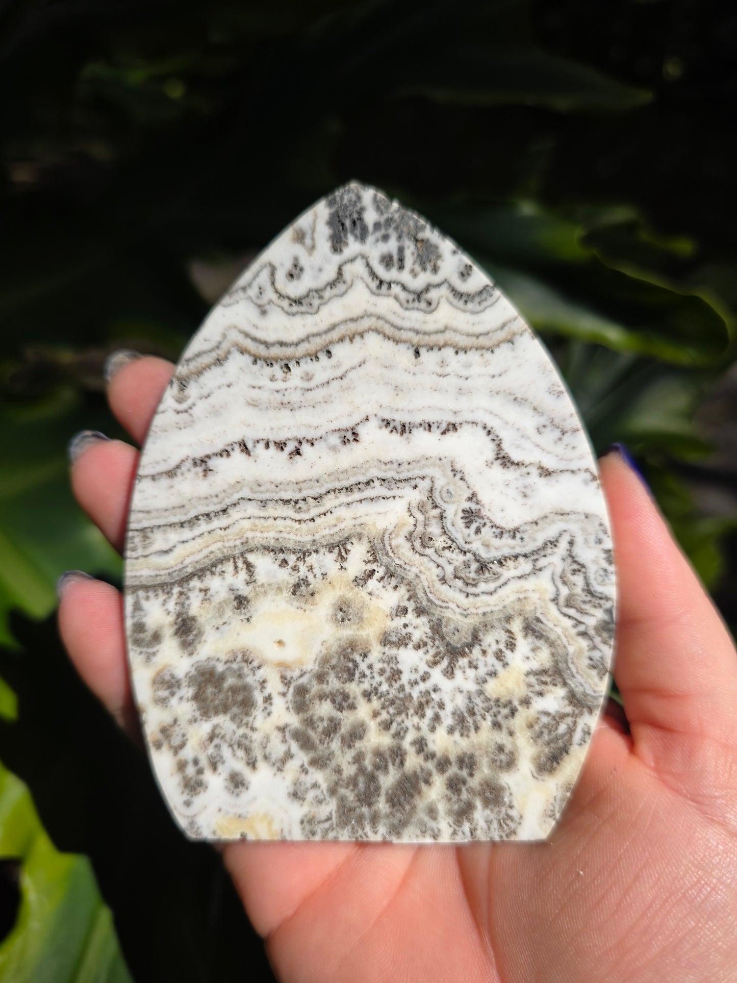 Dendritic Opal Teardrop • Option B • China