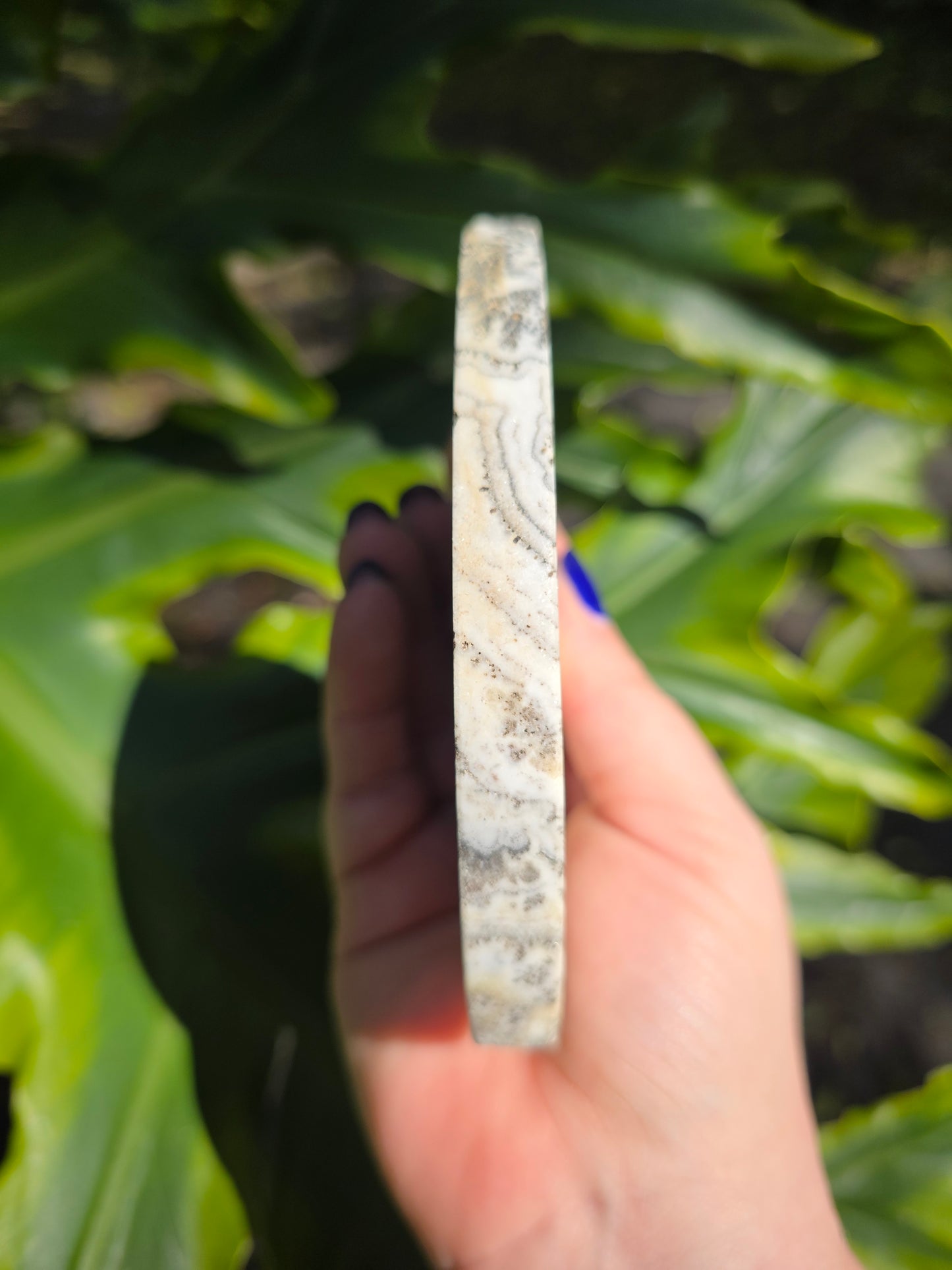 Dendritic Opal Teardrop • Option B • China