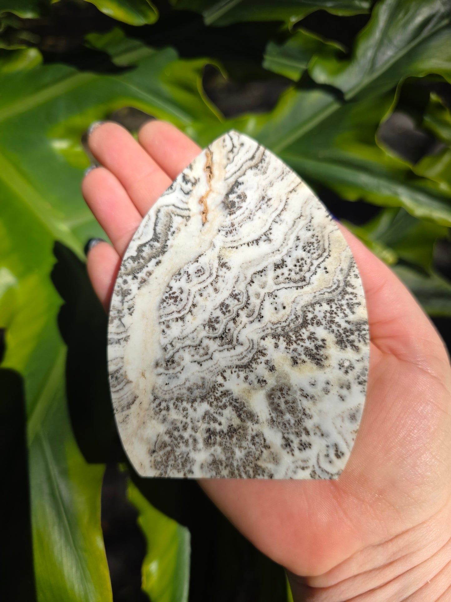 Dendritic Opal Teardrop • Option C • China