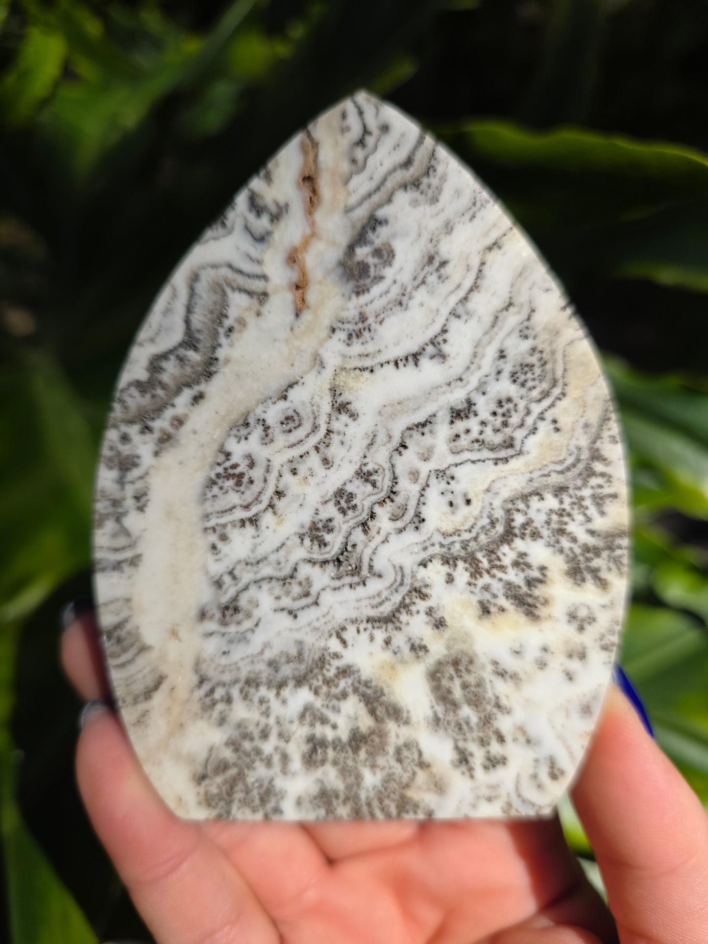 Dendritic Opal Teardrop • Option C • China