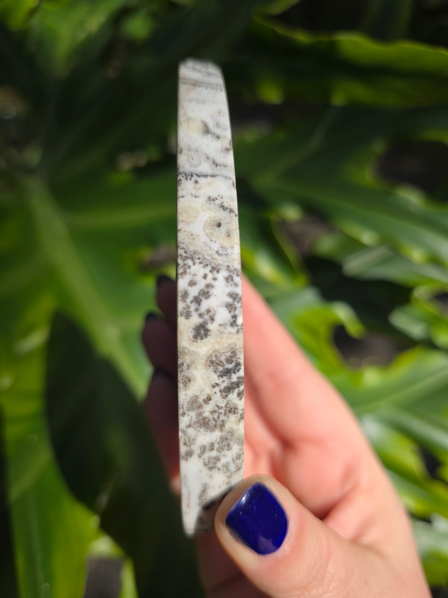 Dendritic Opal Teardrop • Option C • China