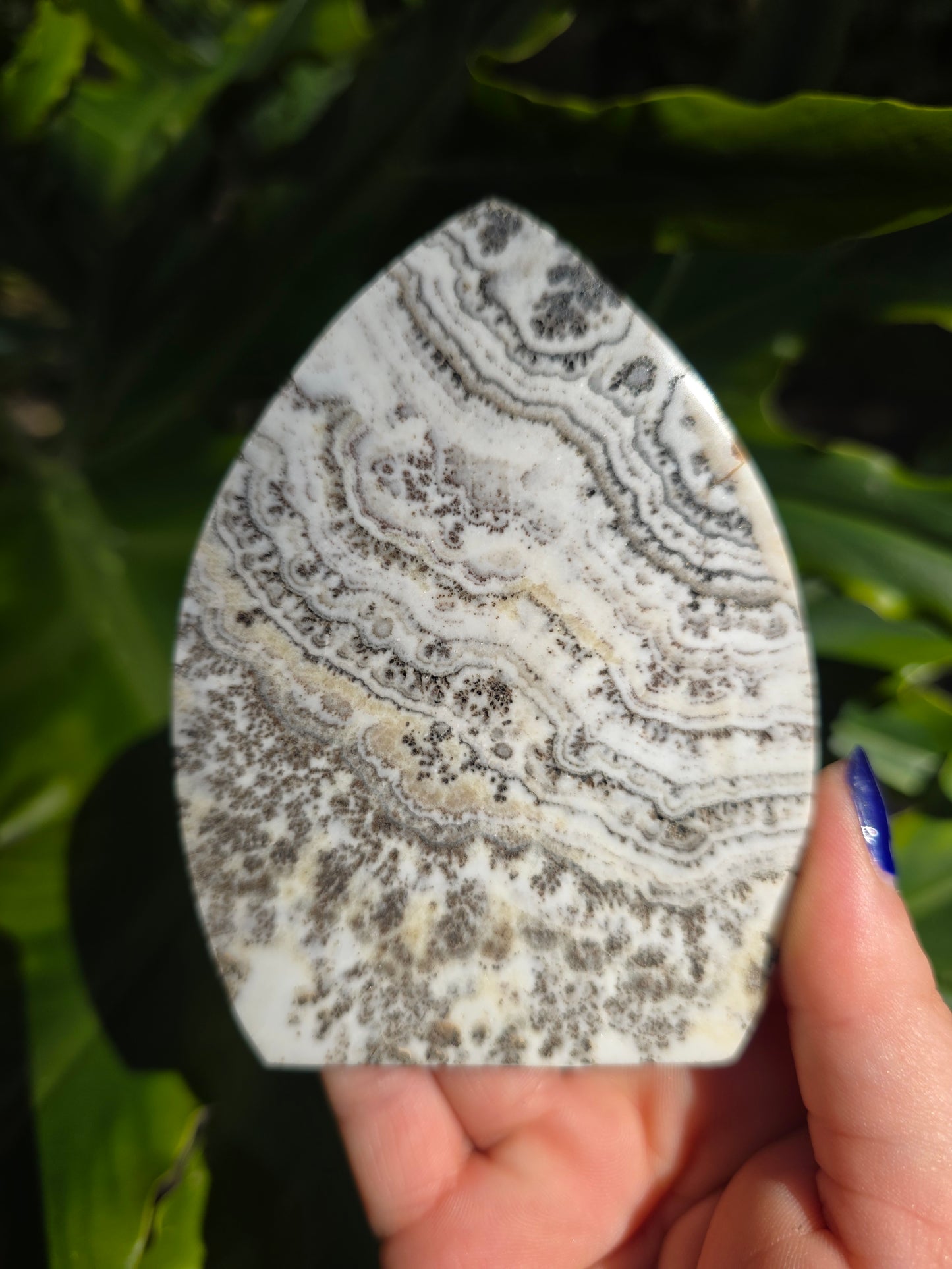 Dendritic Opal Teardrop • Option C • China