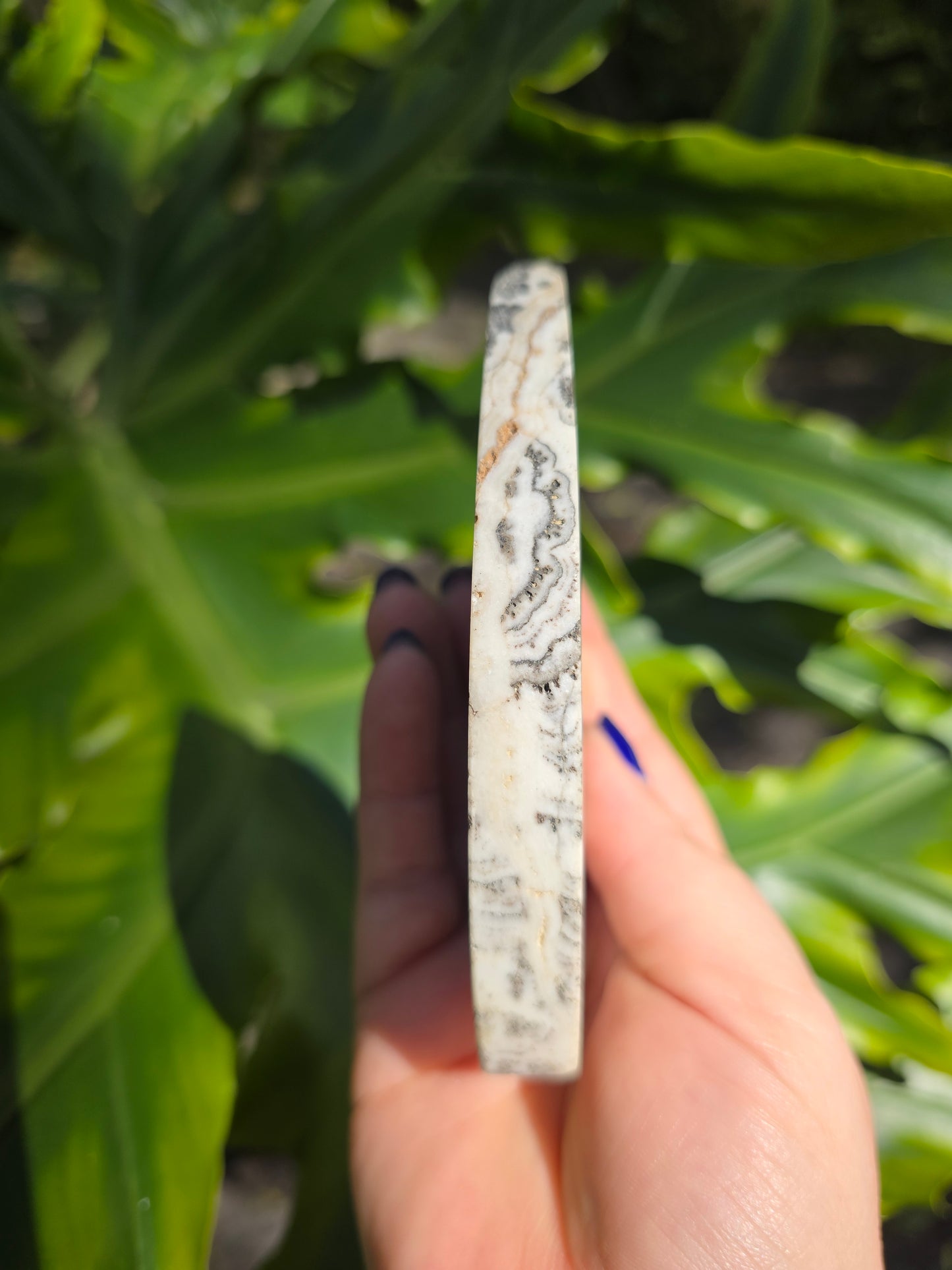 Dendritic Opal Teardrop • Option C • China