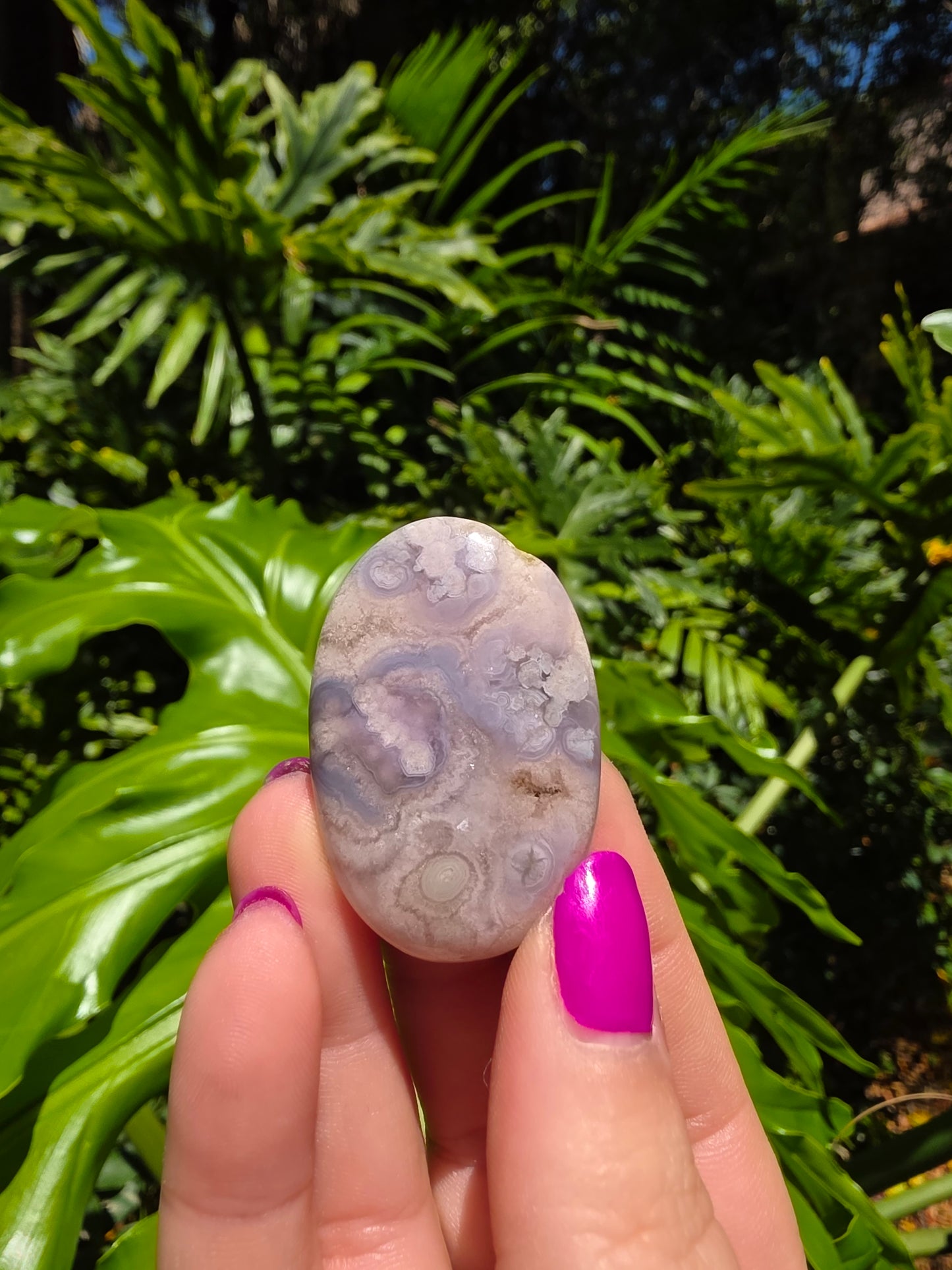 Blue Flower Agate Palm Stone [D]