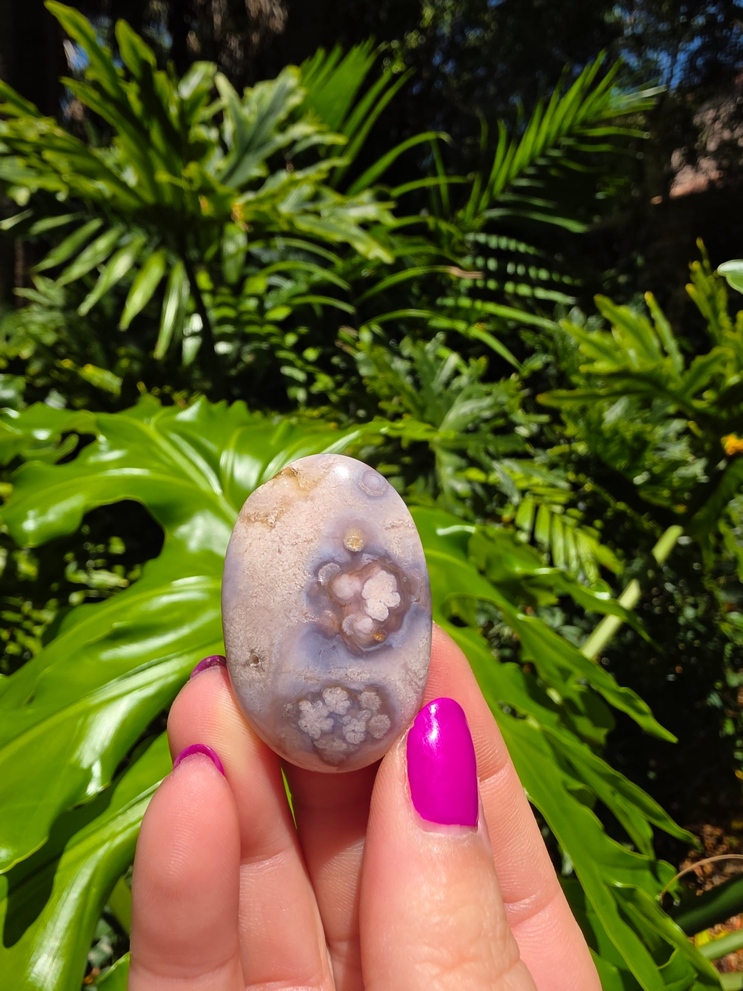 Blue Flower Agate Palm Stone [D]