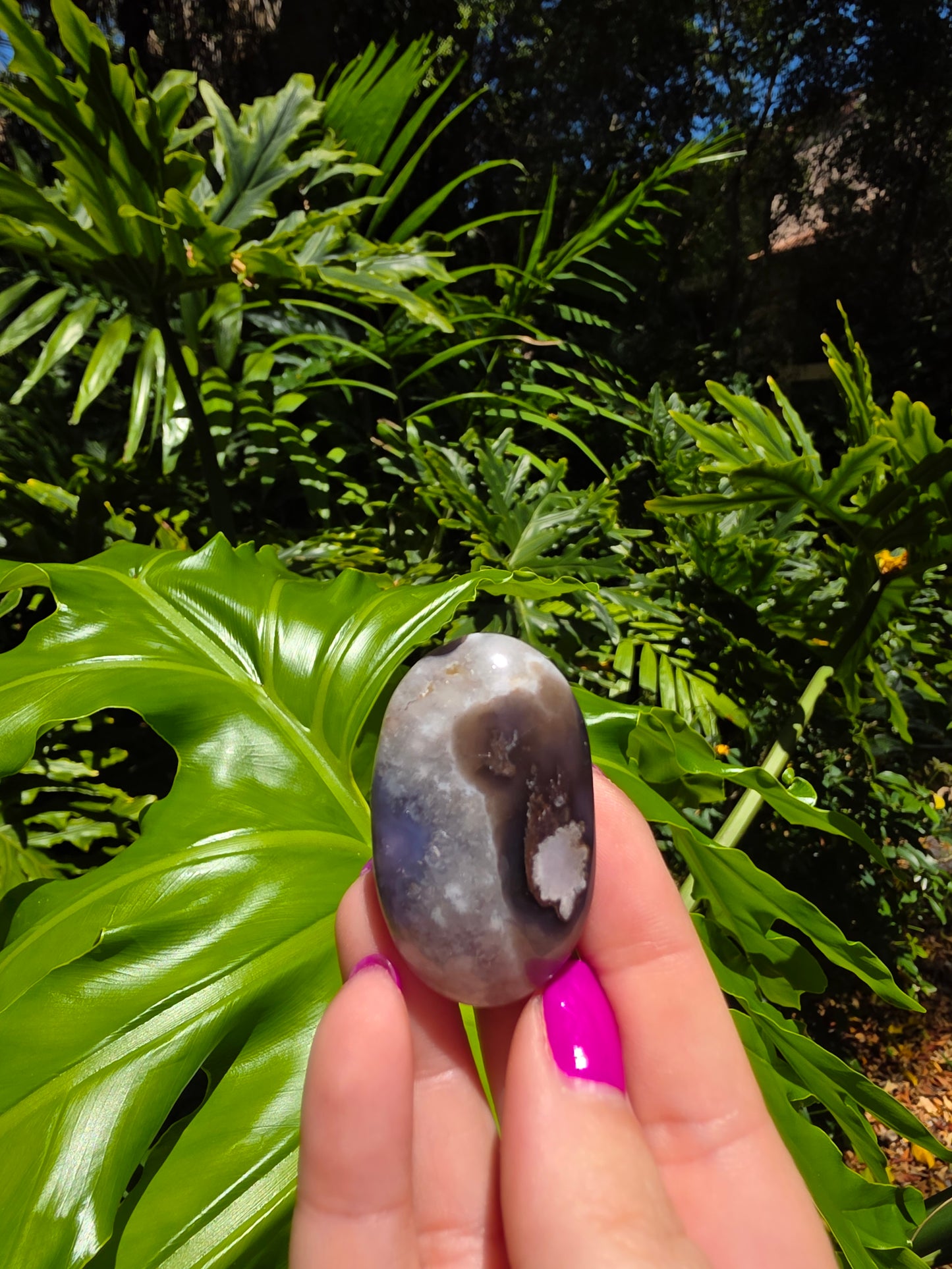 Blue Flower Agate Palm Stone [I]