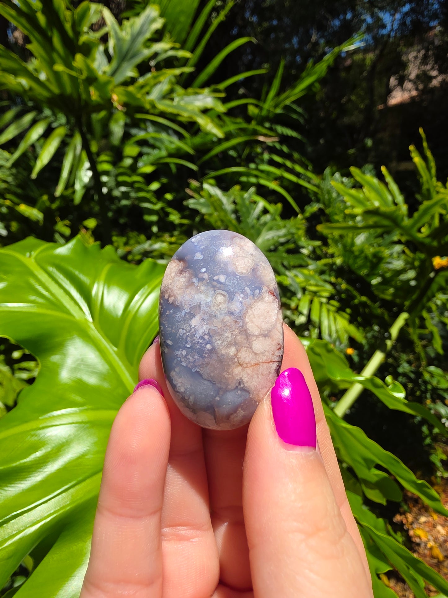 Blue Flower Agate Palm Stone [K]
