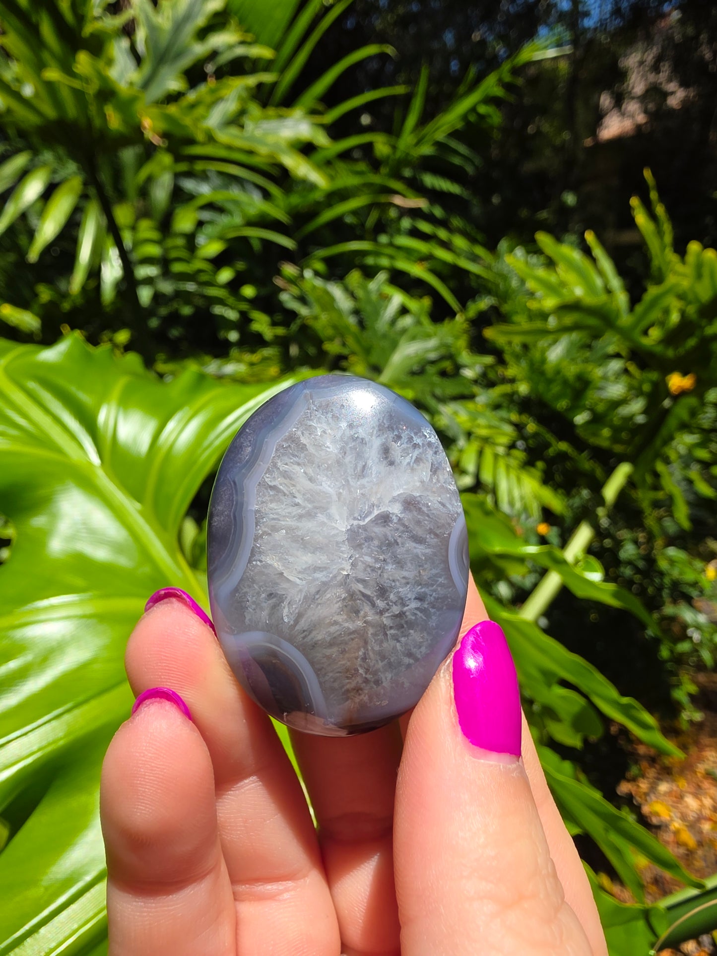 Blue Flower Agate Palm Stone [L]
