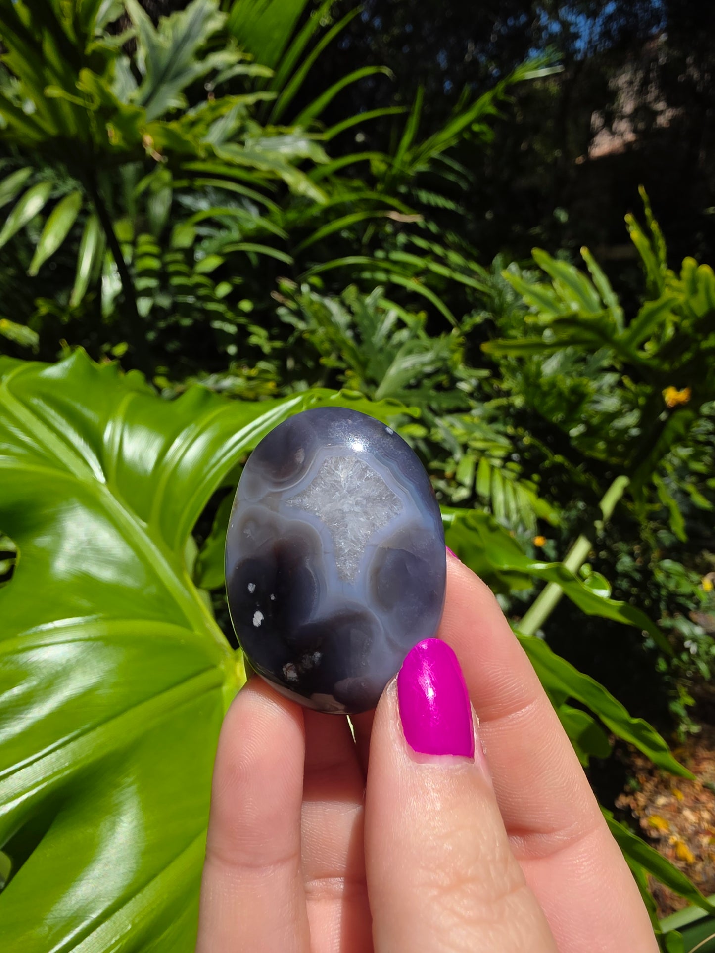 Blue Flower Agate Palm Stone [L]