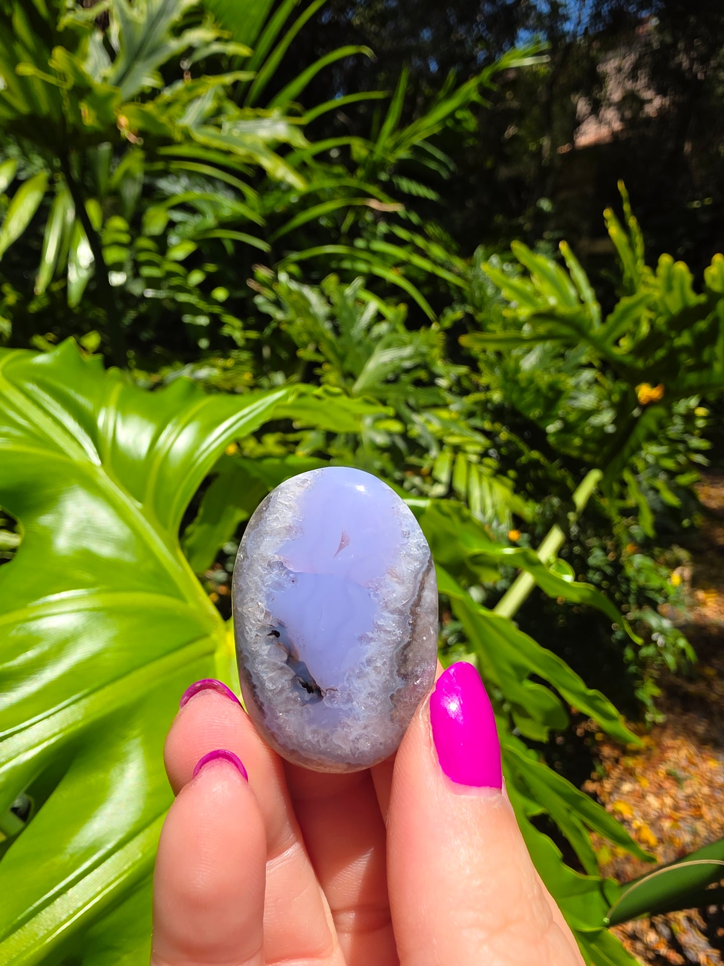 Blue Flower Agate Palm Stone [P]