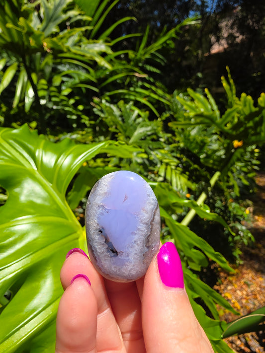Blue Flower Agate Palm Stone • Option P • China