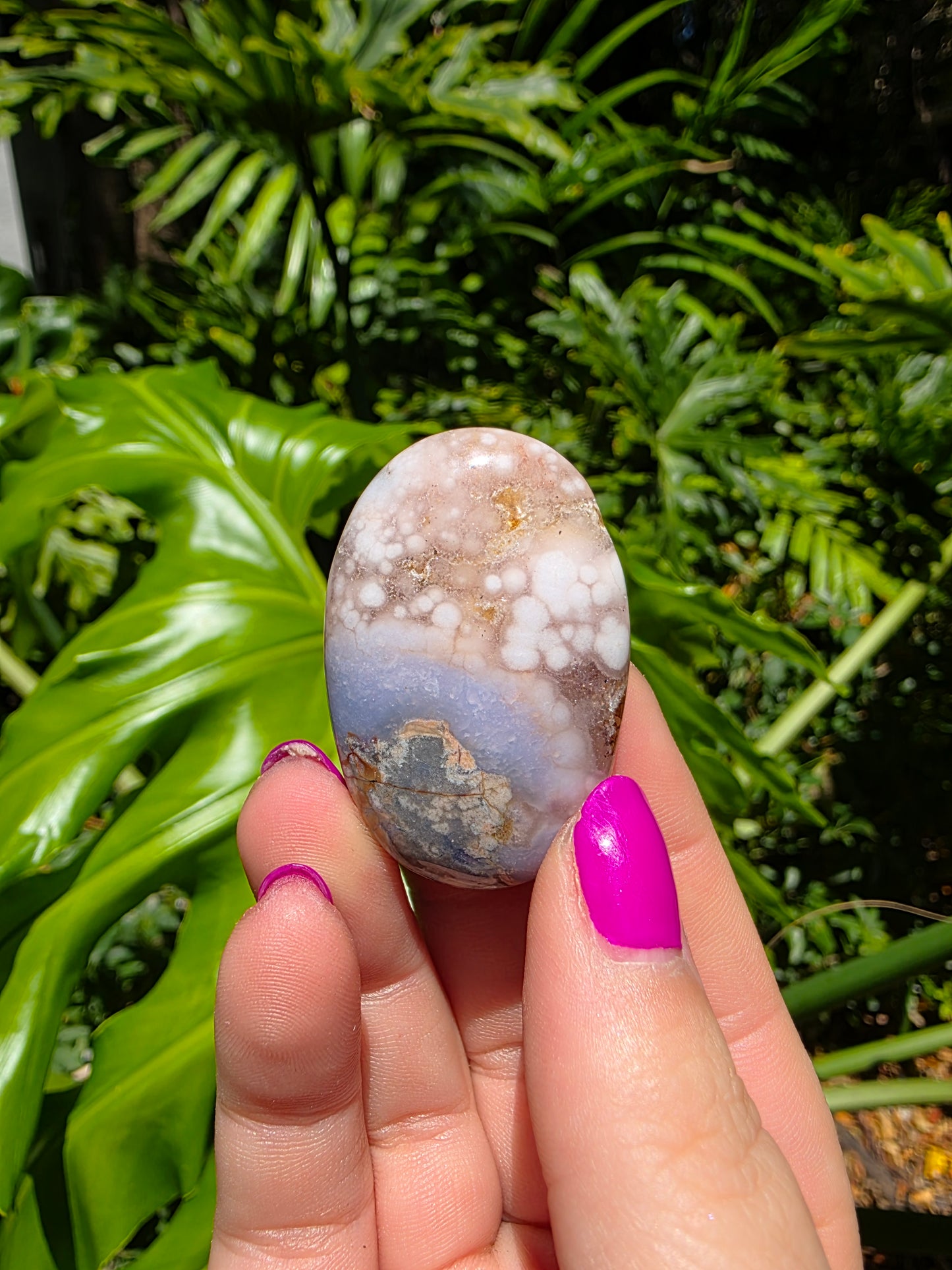 Blue Flower Agate Palm Stone [T]