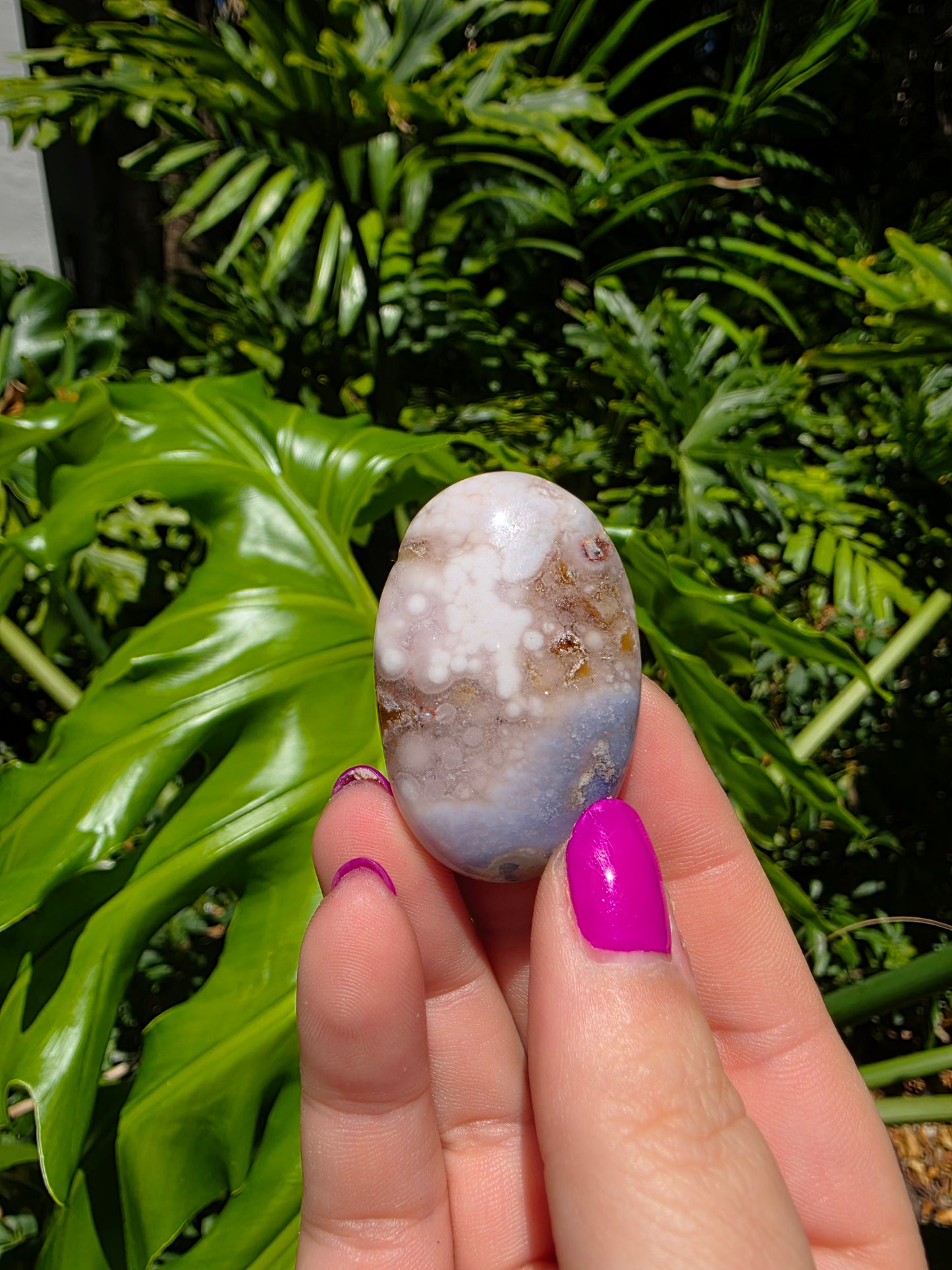 Blue Flower Agate Palm Stone [T]