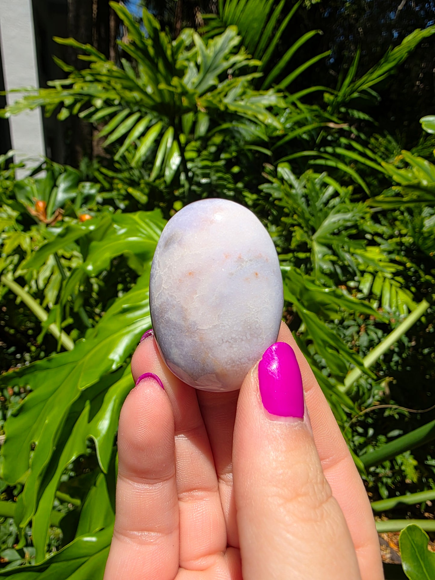Blue Flower Agate Palm Stone [U]