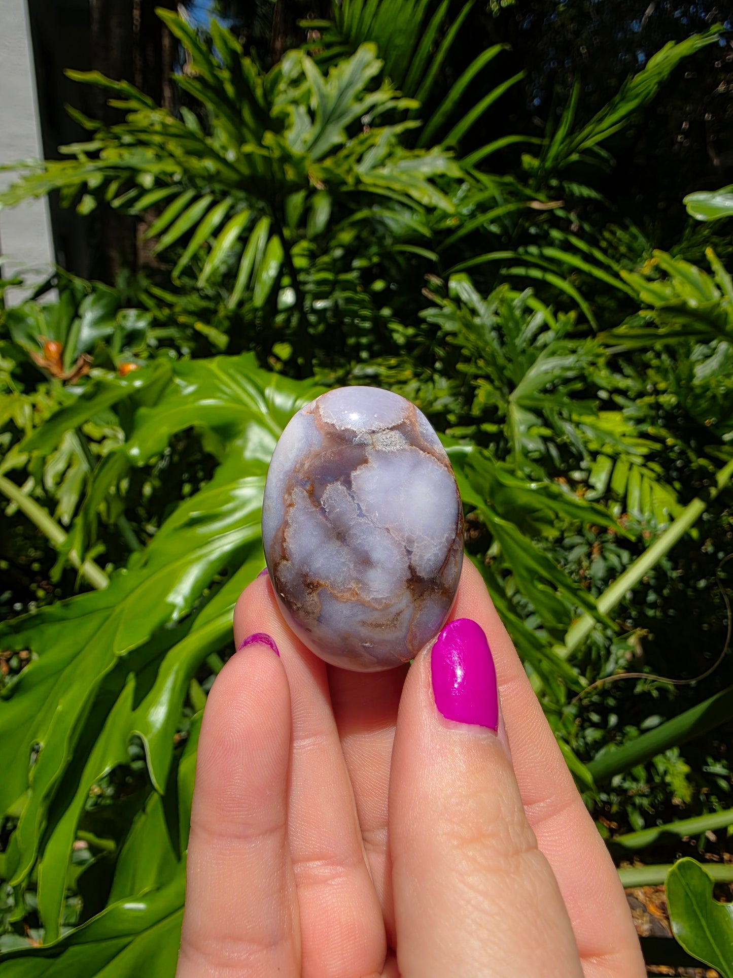 Blue Flower Agate Palm Stone [U]