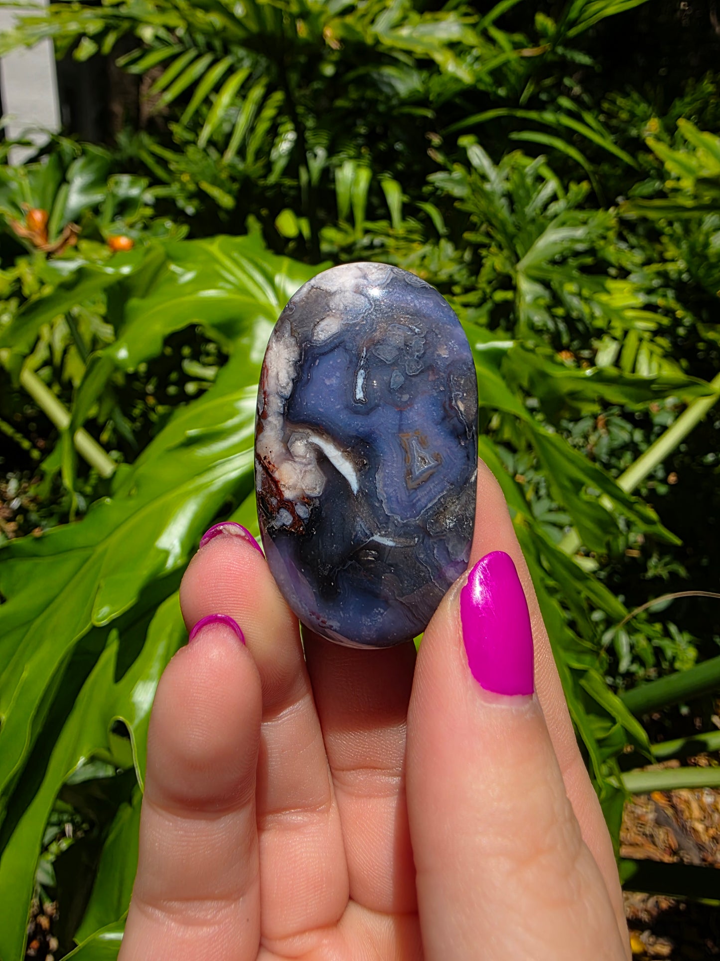 Blue Flower Agate Palm Stone [V]