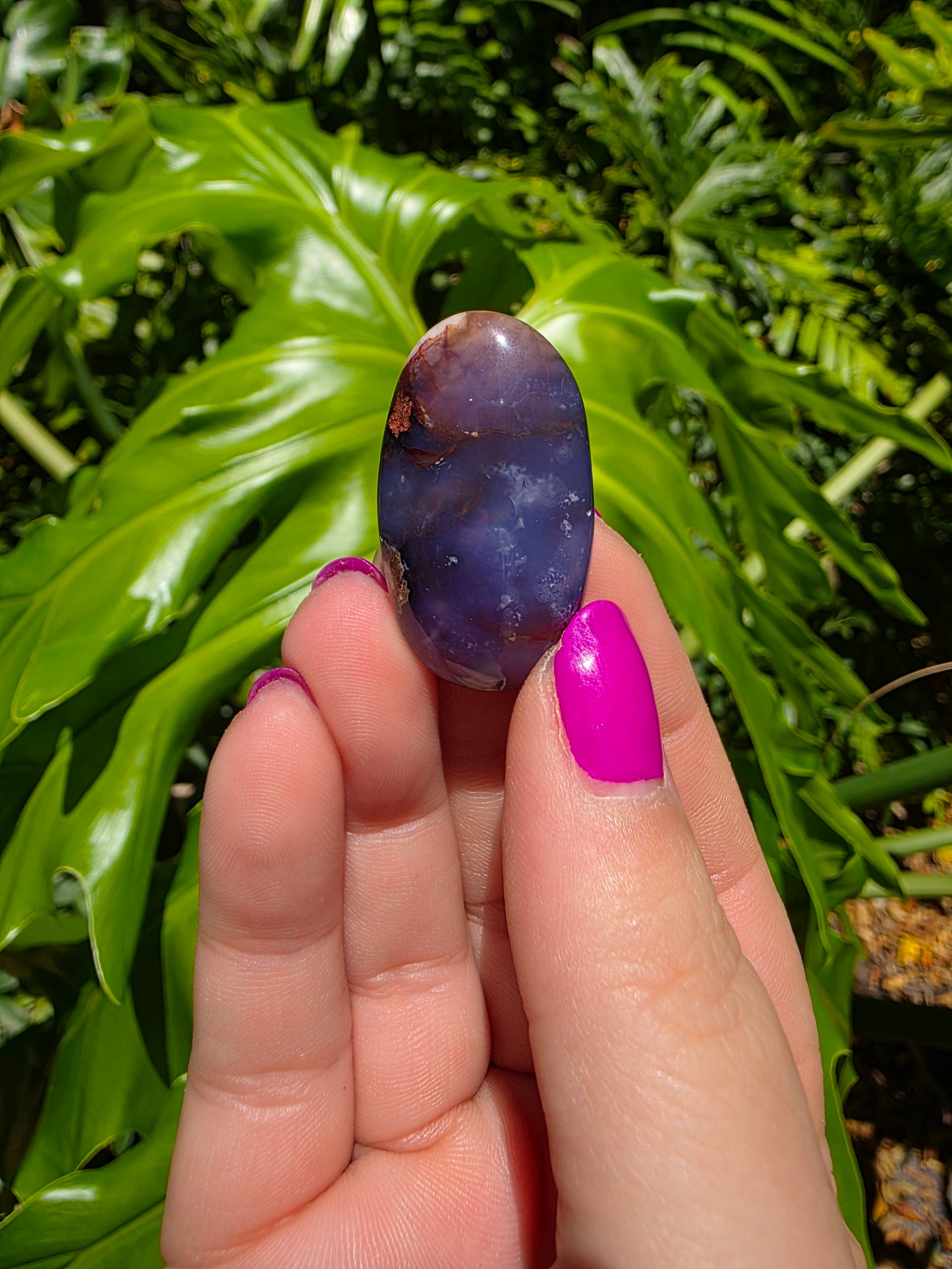 Blue Flower Agate Palm Stone [W]