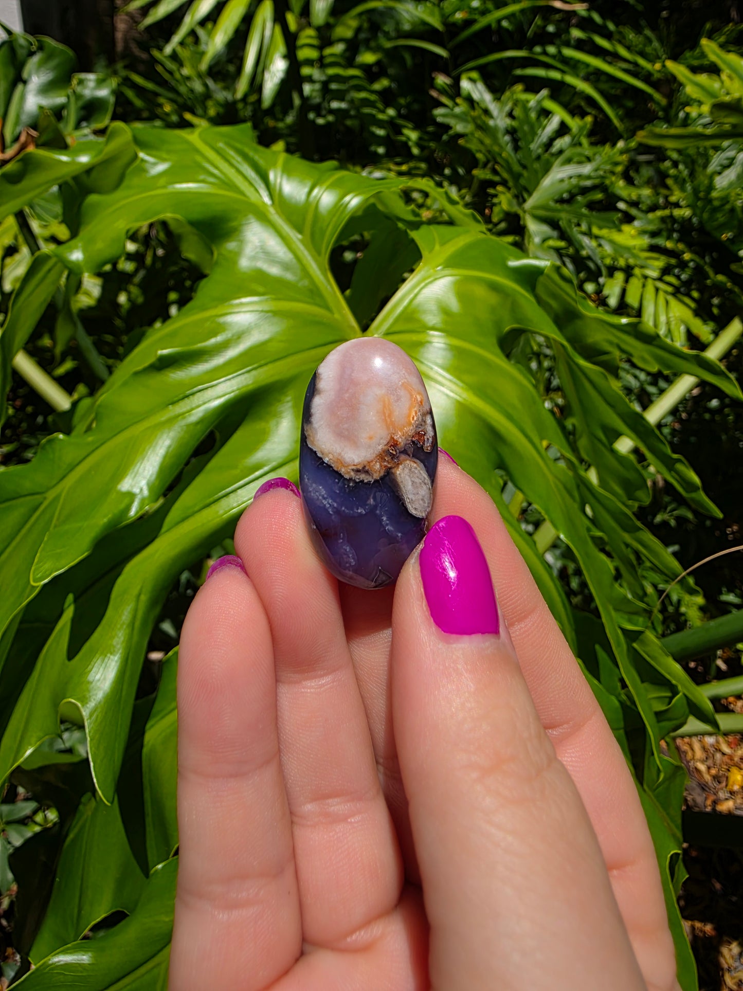 Blue Flower Agate Palm Stone [W]