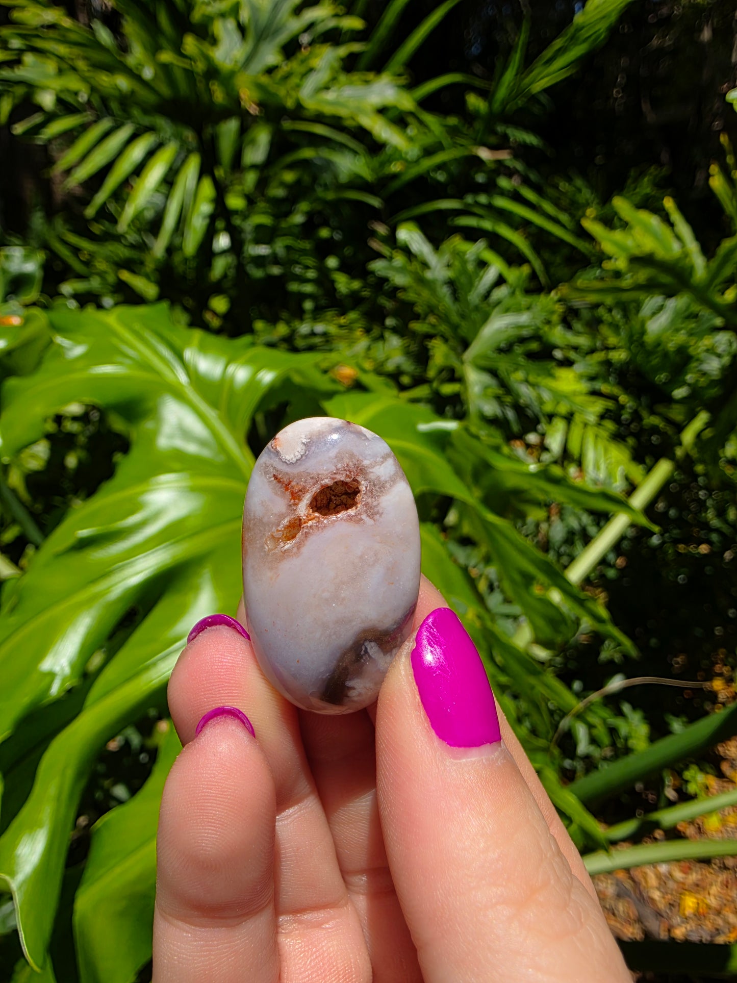 Blue Flower Agate Palm Stone [X]
