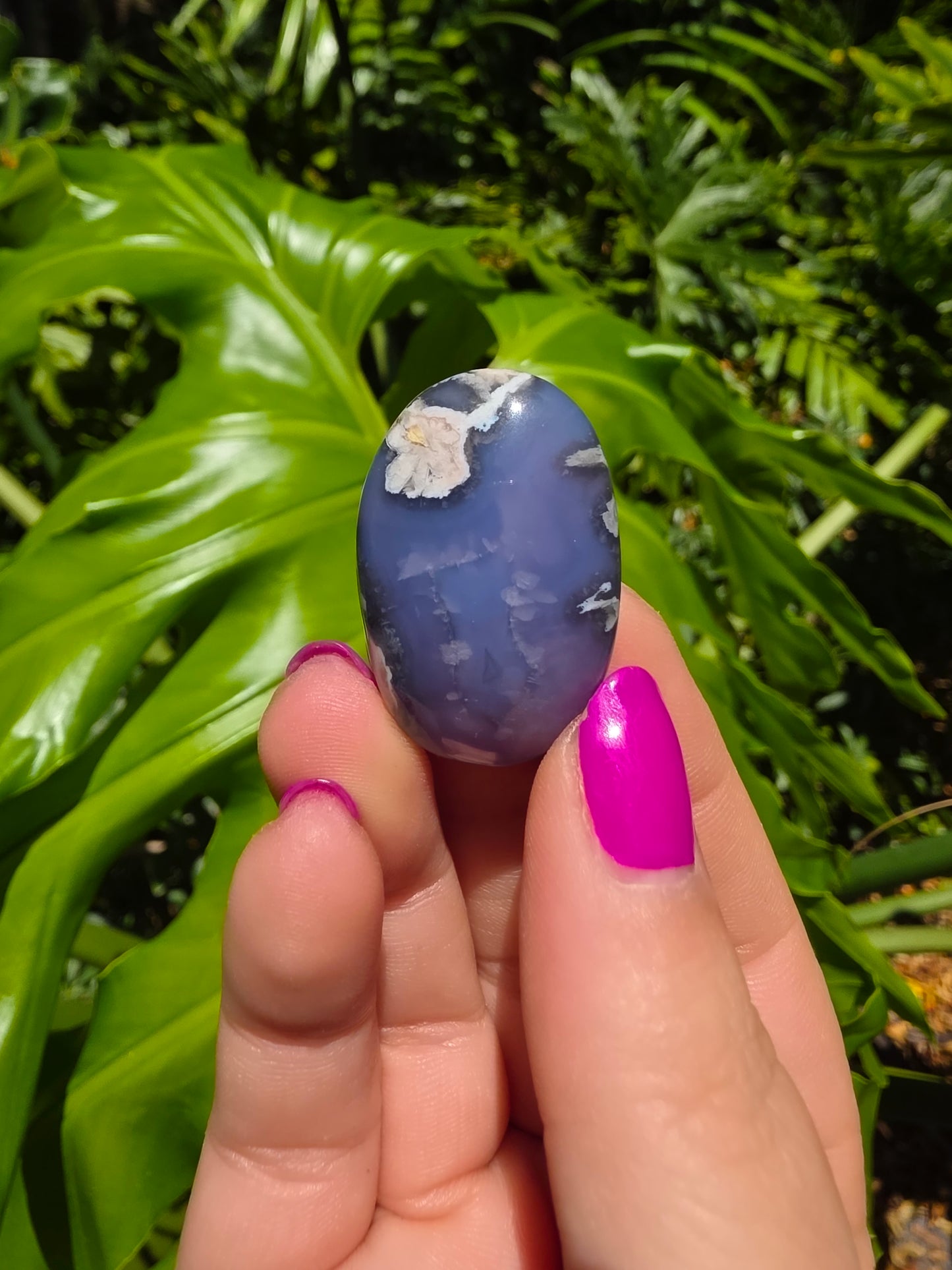 Blue Flower Agate Palm Stone [Y]