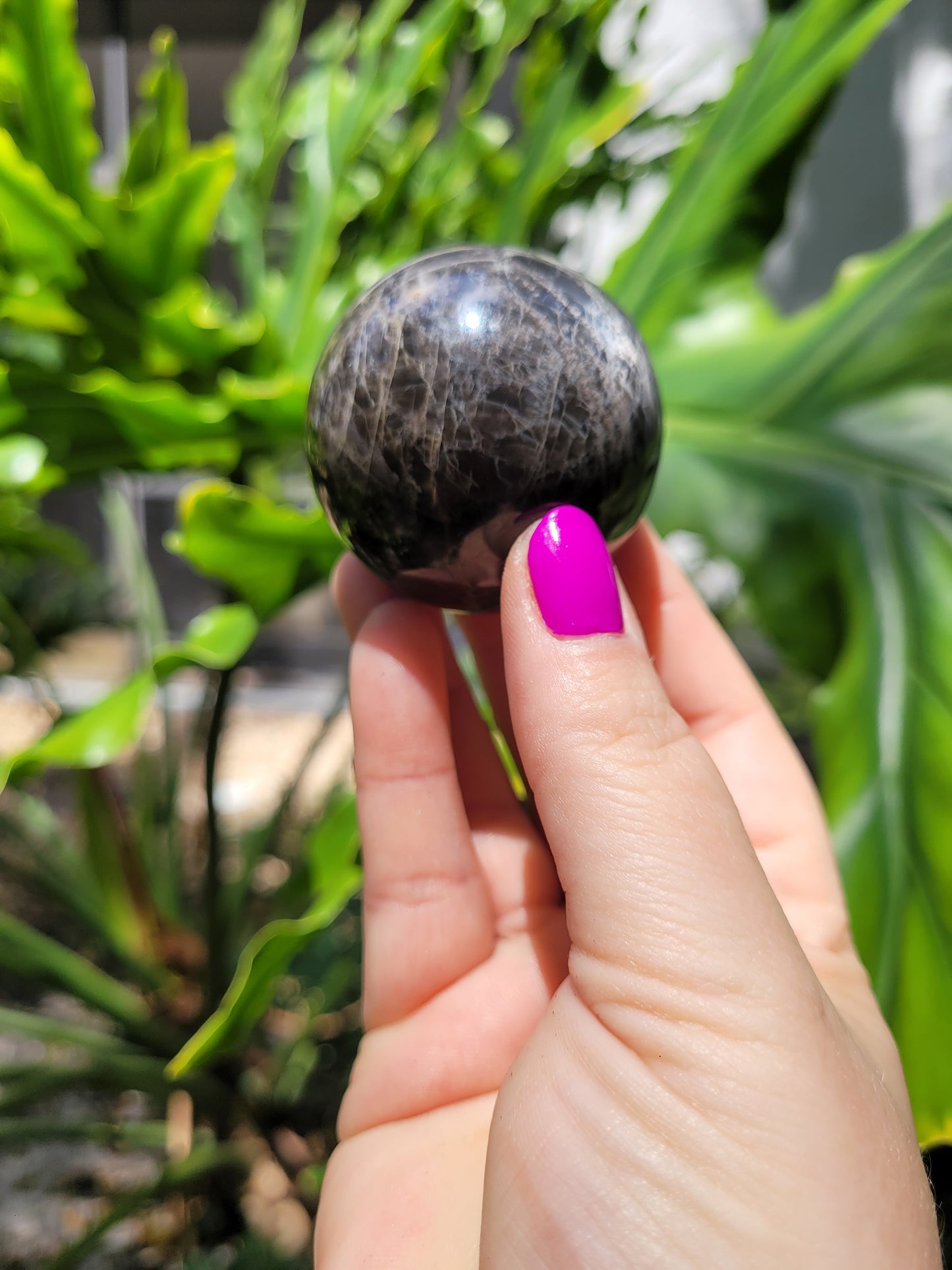 Black Flashy Moonstone Sphere [A]