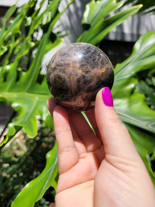 Black Flashy Moonstone Sphere [C]