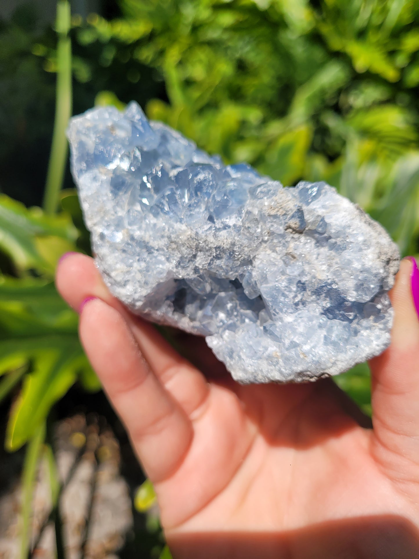 Celestite [B]