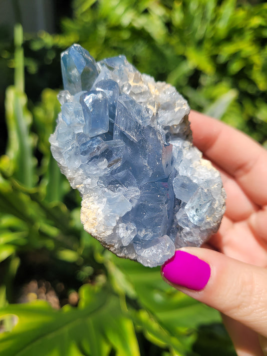 Celestite [C]