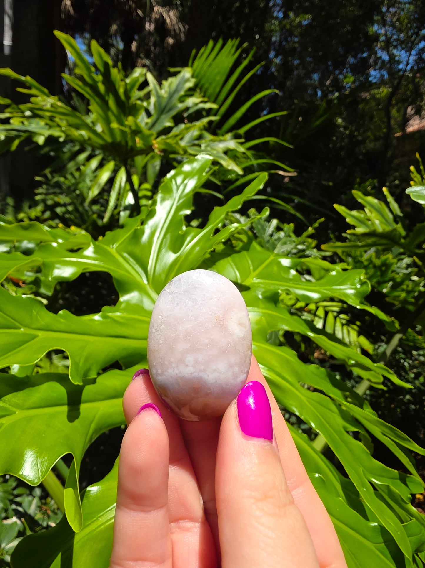 Flower Agate Palm Stone [A]