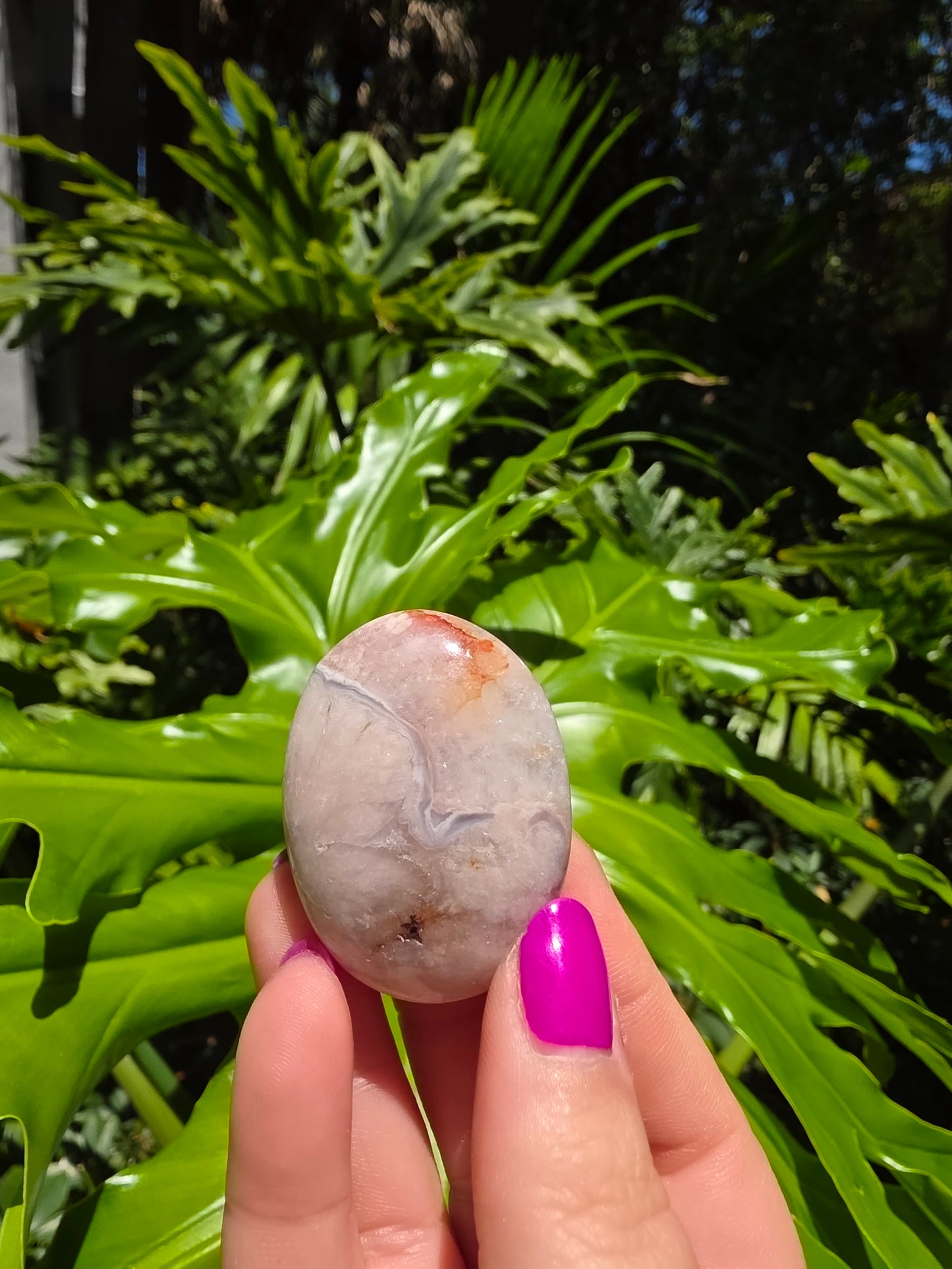 Flower Agate Palm Stone [B]