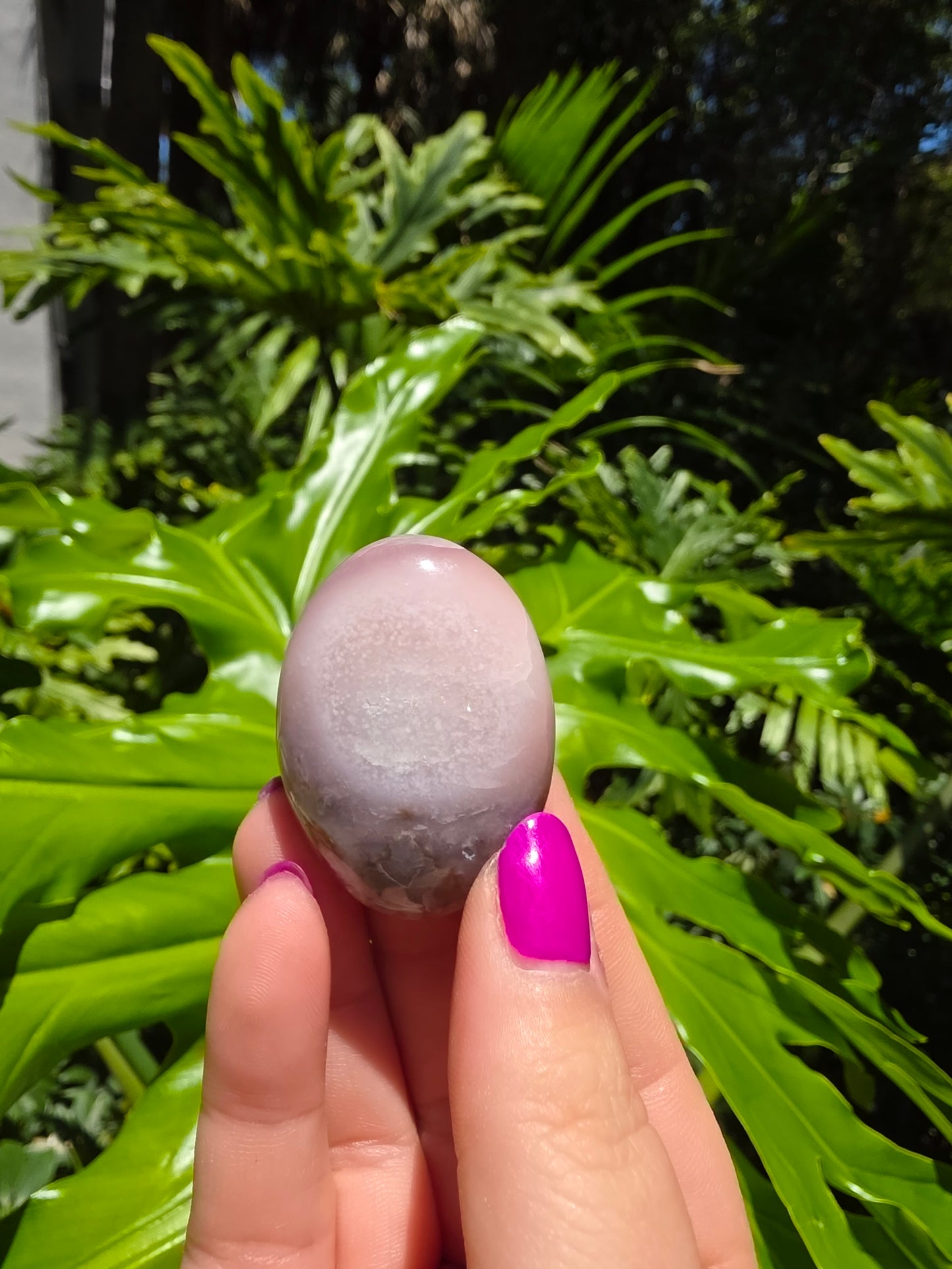 Flower Agate Palm Stone [D]