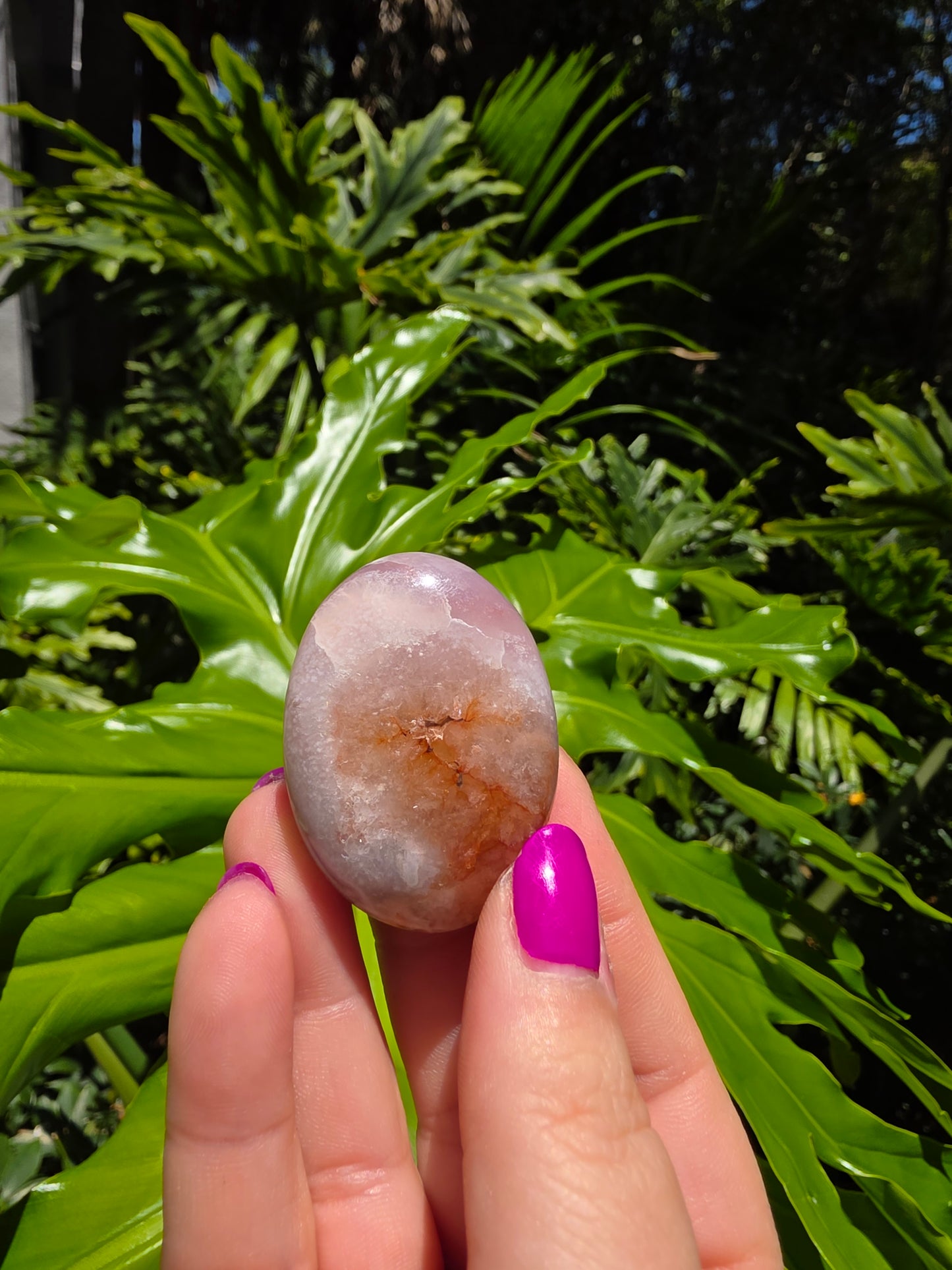 Flower Agate Palm Stone [D]