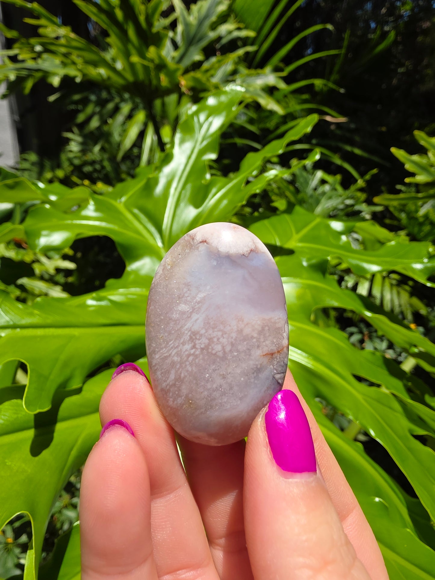 Flower Agate Palm Stone [F]