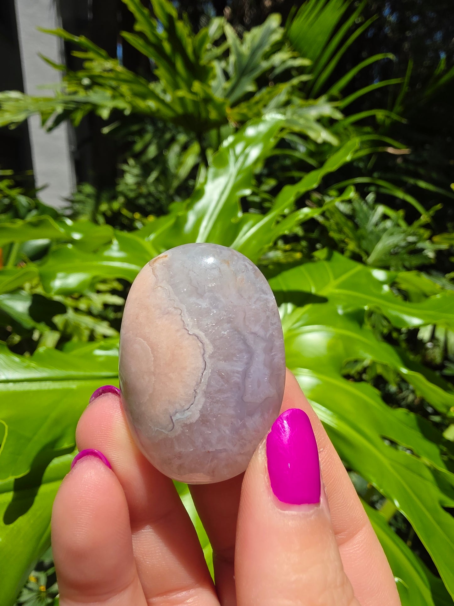 Flower Agate Palm Stone [H]