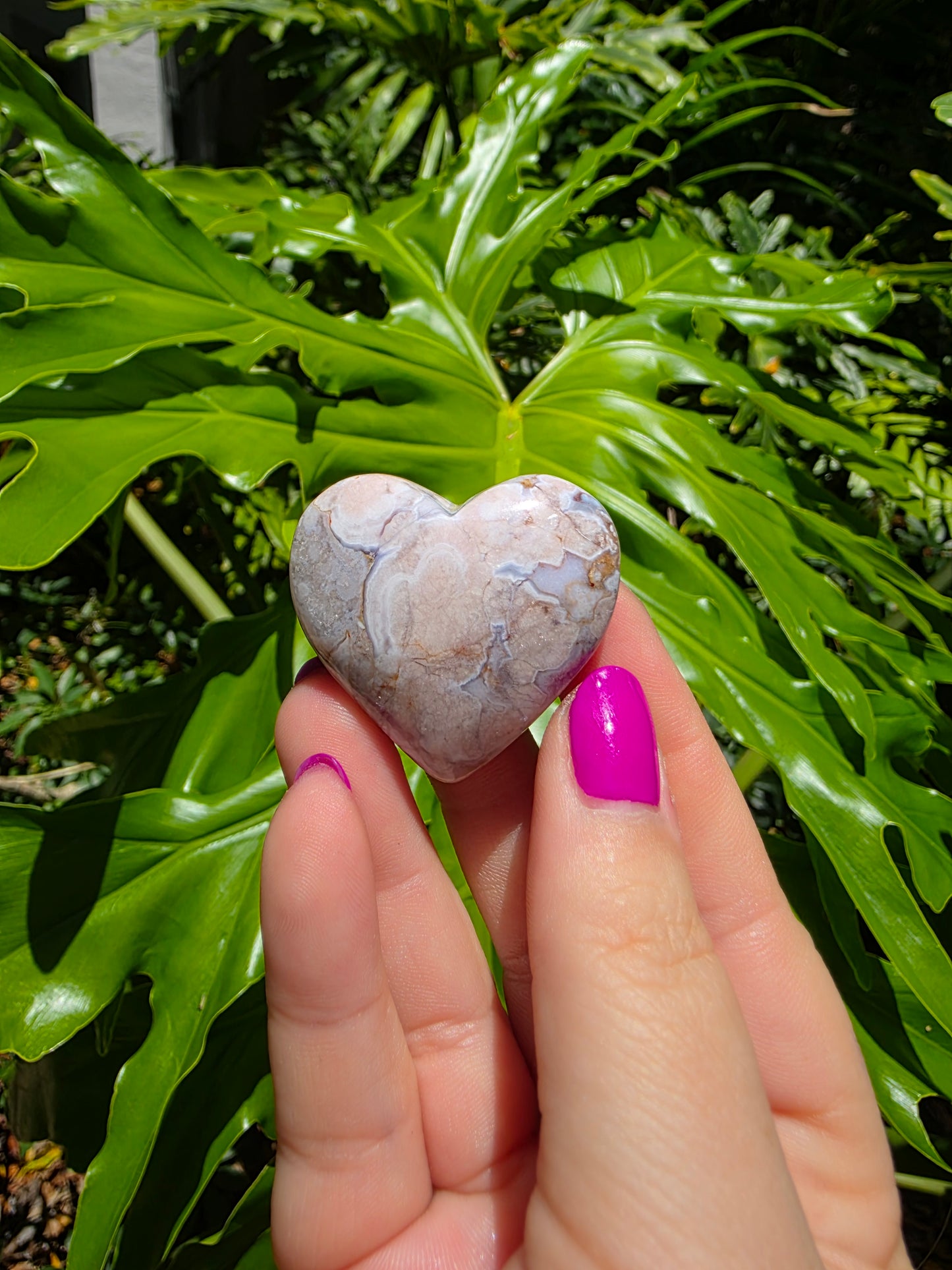 Flower Agate Heart [B]