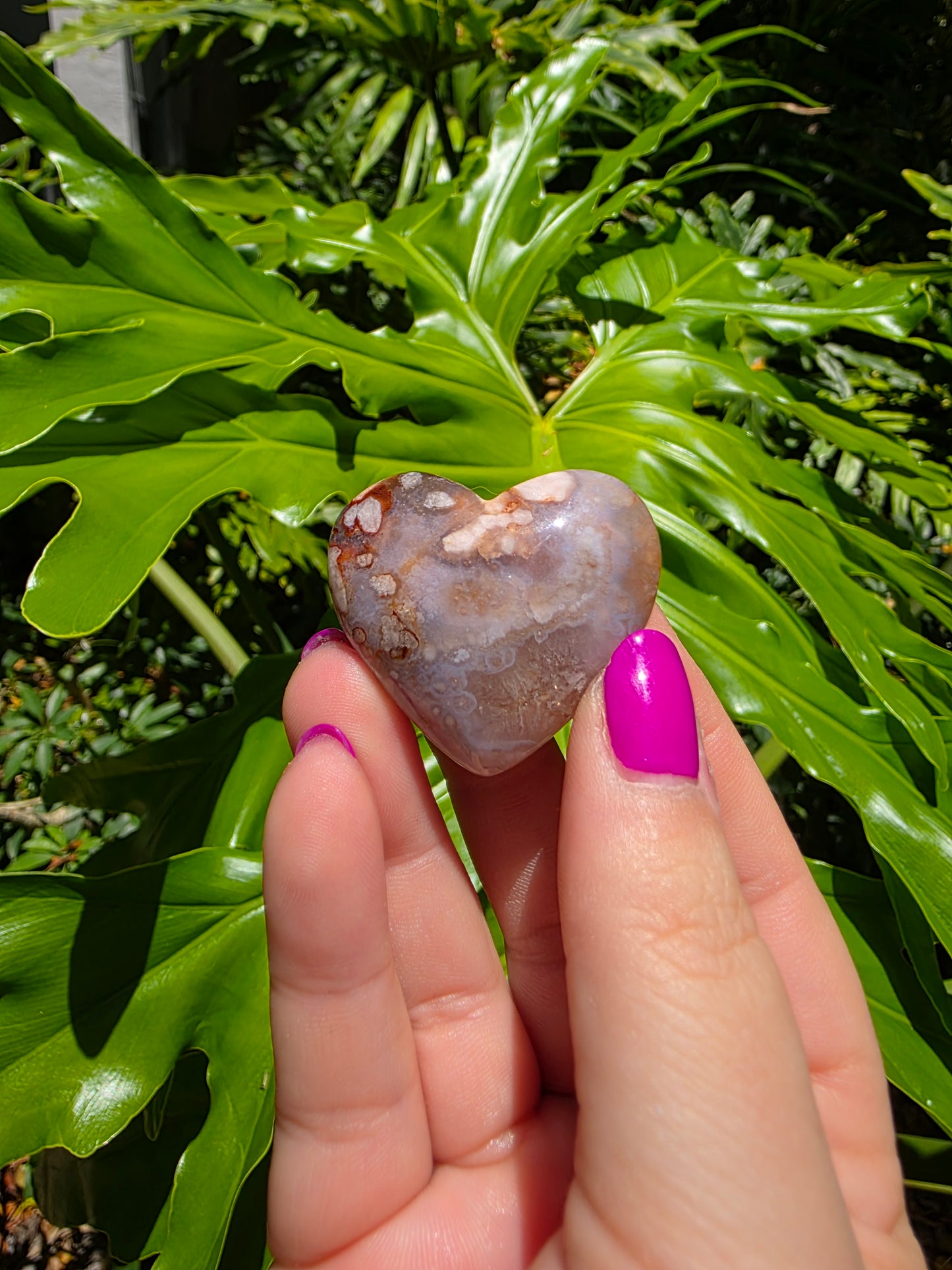 Flower Agate Heart [C]