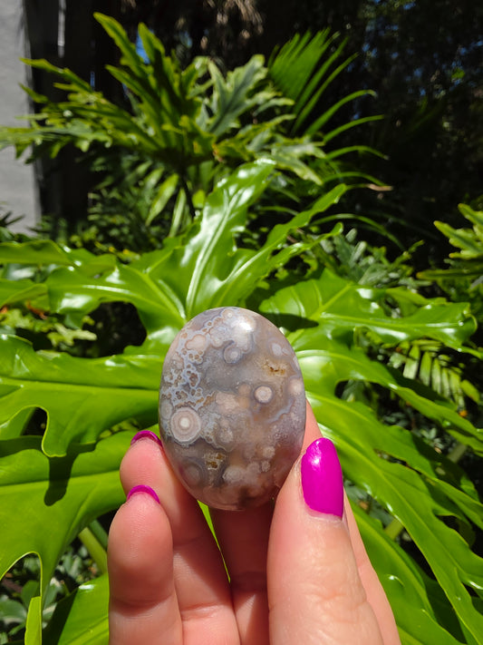 Flower Agate Palm Stone [C]