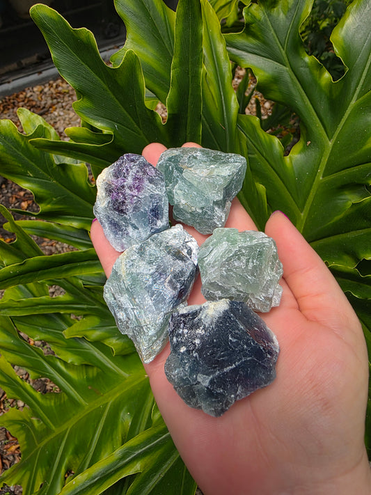 Raw Fluorite Chunks • Brazil • Large