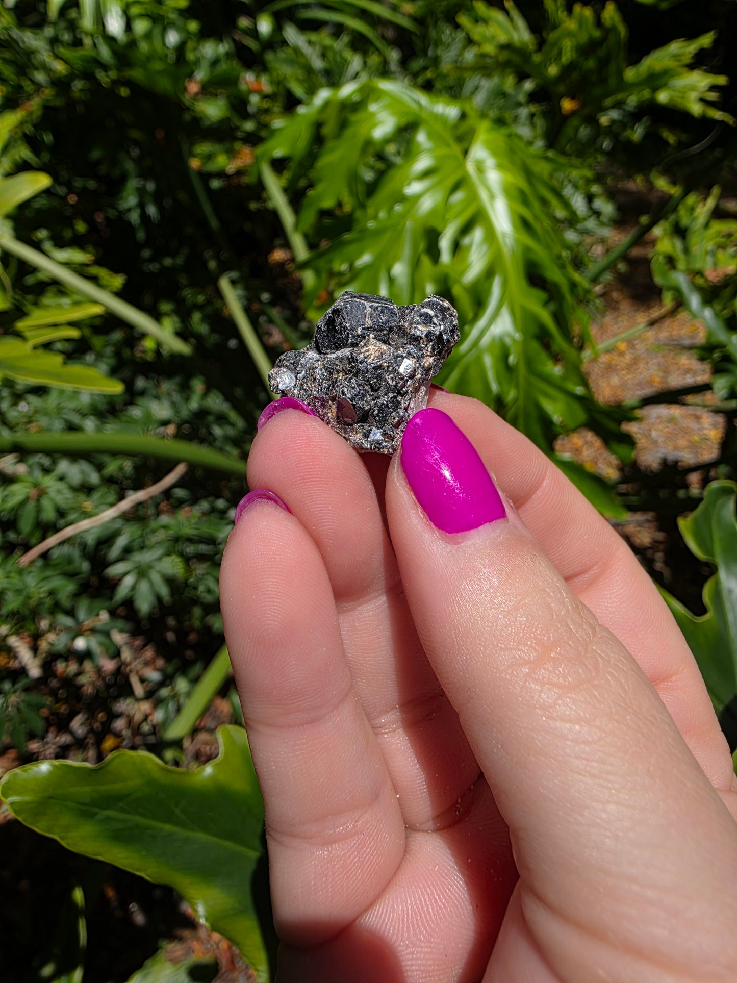 Galena and Marcasite [A]
