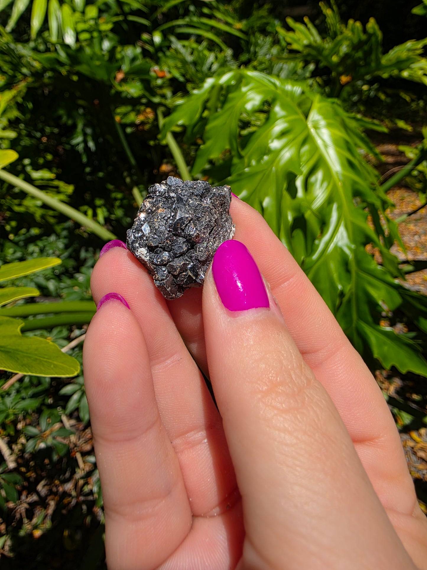 Galena and Marcasite [B]