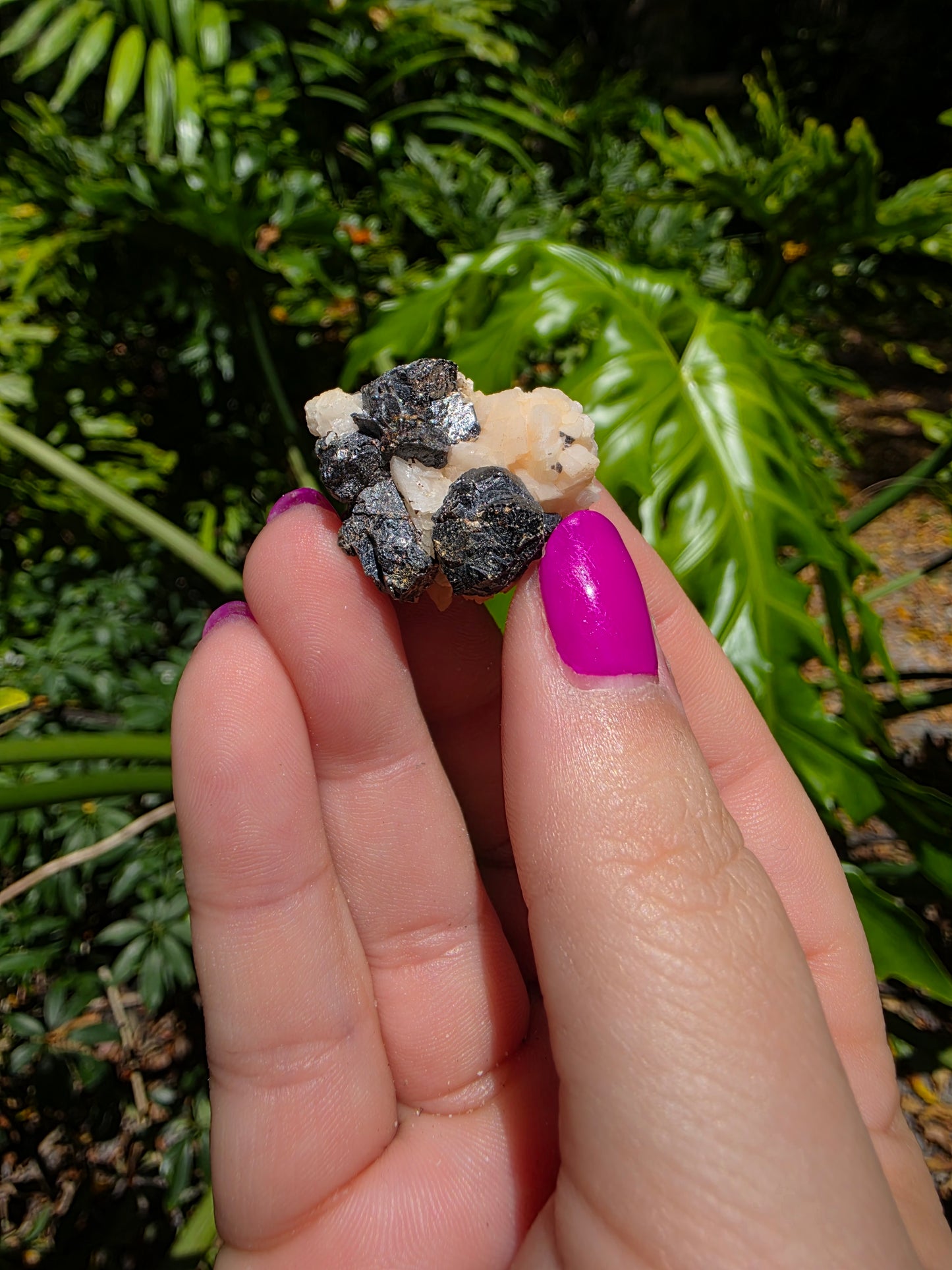 Galena and Marcasite [C]